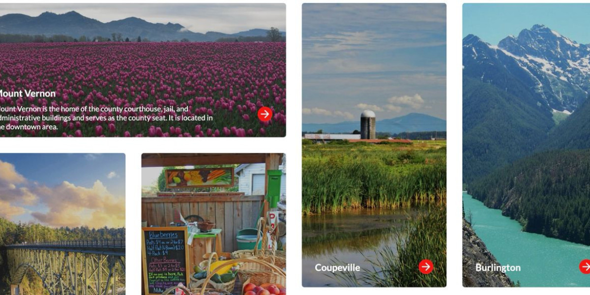 Local Connections: How Regional Business Directories Boost Community Engagement