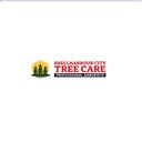 Common Tree Problems and How an Arborist Can Help | by Shellharbour City Tree Care | May, 2025 | Medium