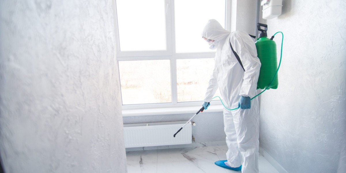 Dublin Mould Control for Damp & Humid Environments