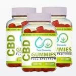 Pashupat026 Pashupat026