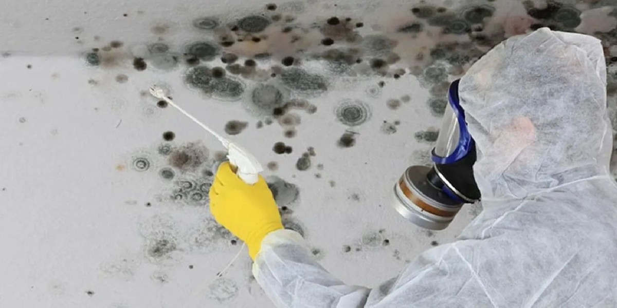 The Importance of a Unified Approach: Testing and Abatement