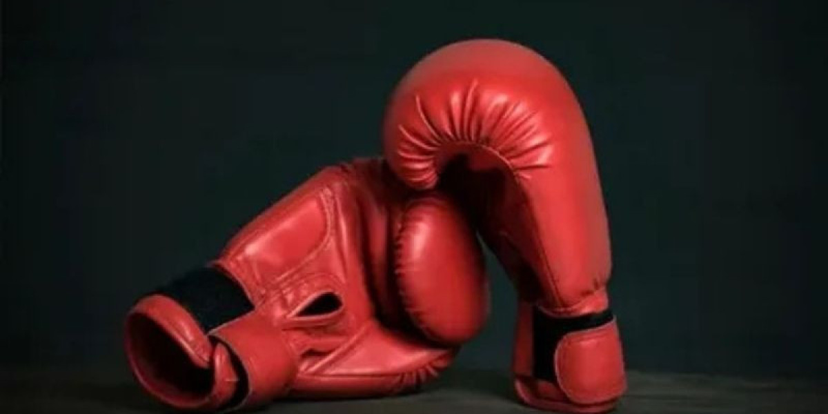 Global Boxing Gear Demand Soars Amid Fitness Boom