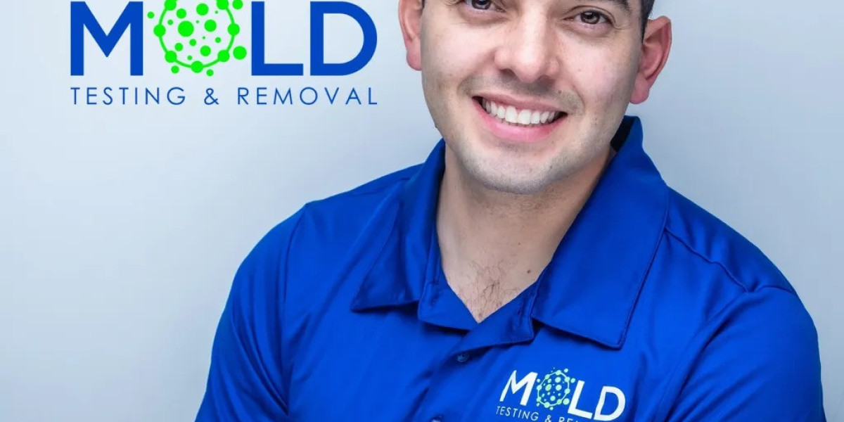 LA Mold Testing: DIY vs. Professional Services