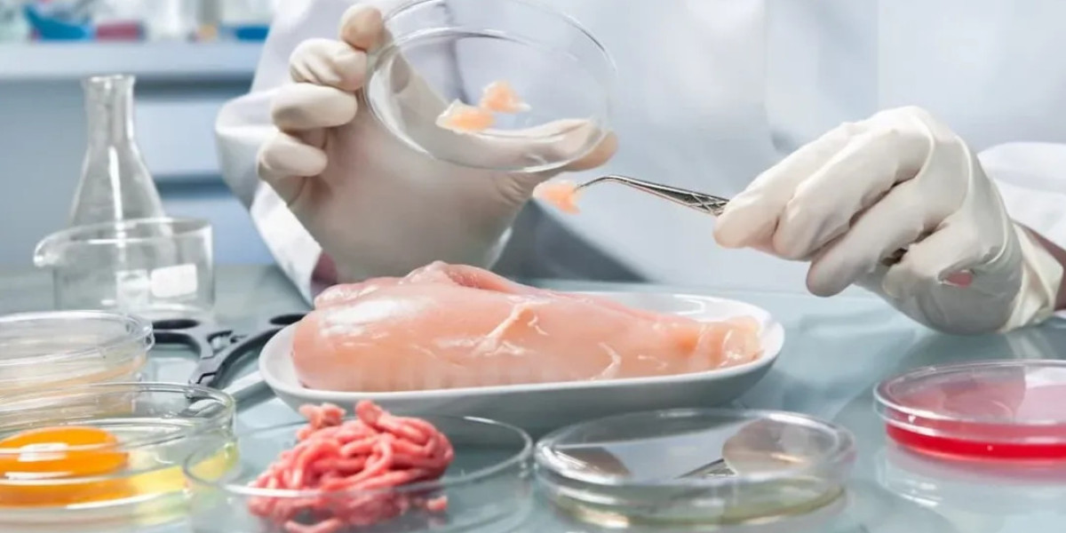 Global Food Safety Testing Equipment and Consumables Market Size, Analysis and Forecast 2022 - 2030