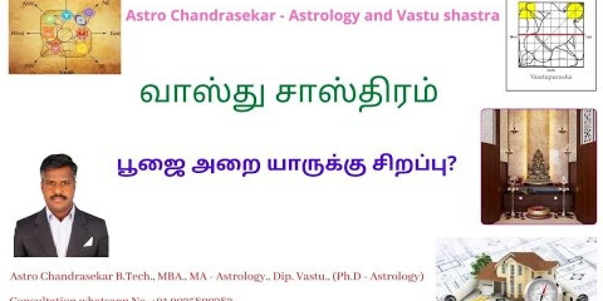 Best Astrologer Expert: Guiding You Towards a Better Future
