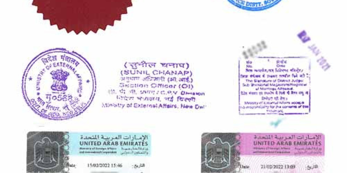 Comprehensive Guide to Degree Attestation in UAE