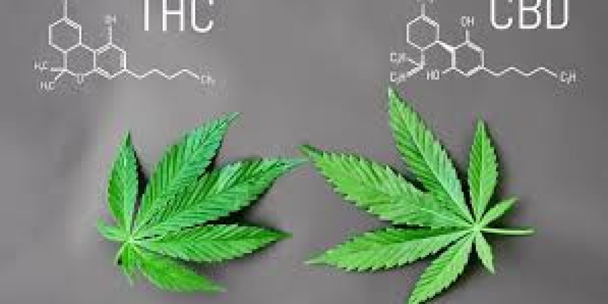 De Wetenschap Achter Vital CBD Capsules en Pijnbestrijding