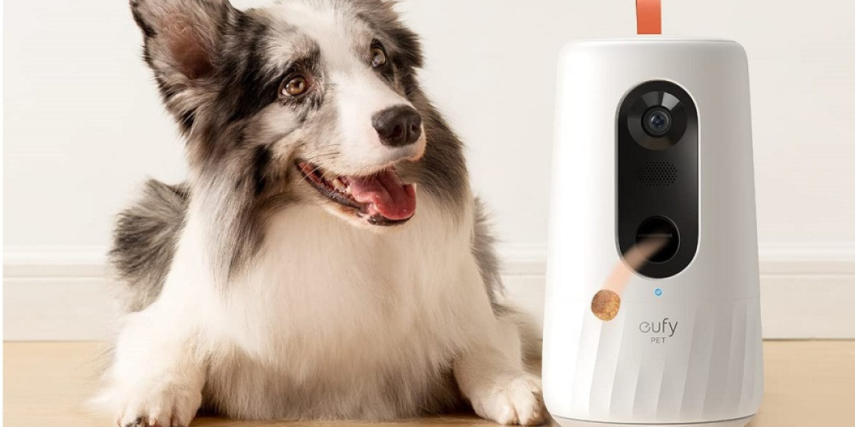 Eufy Pet Dog Camera 360° Pan: The Best Pet Camera for Dog Lovers