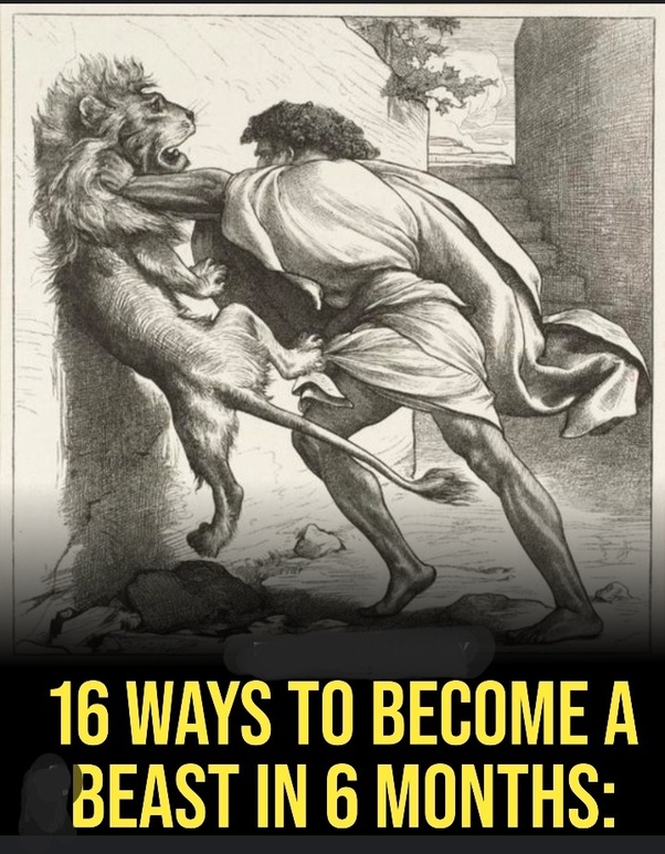 How to become a beast in 6 months
