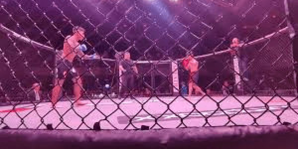 Kickboxing Events & Best Gear Picks in San Antonio 2025