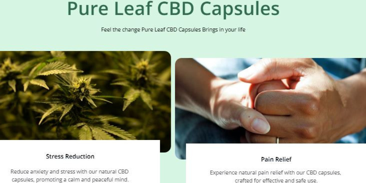 PureLeaf CBD UK: Natural CBD Capsules for Pain and Stress Relief!