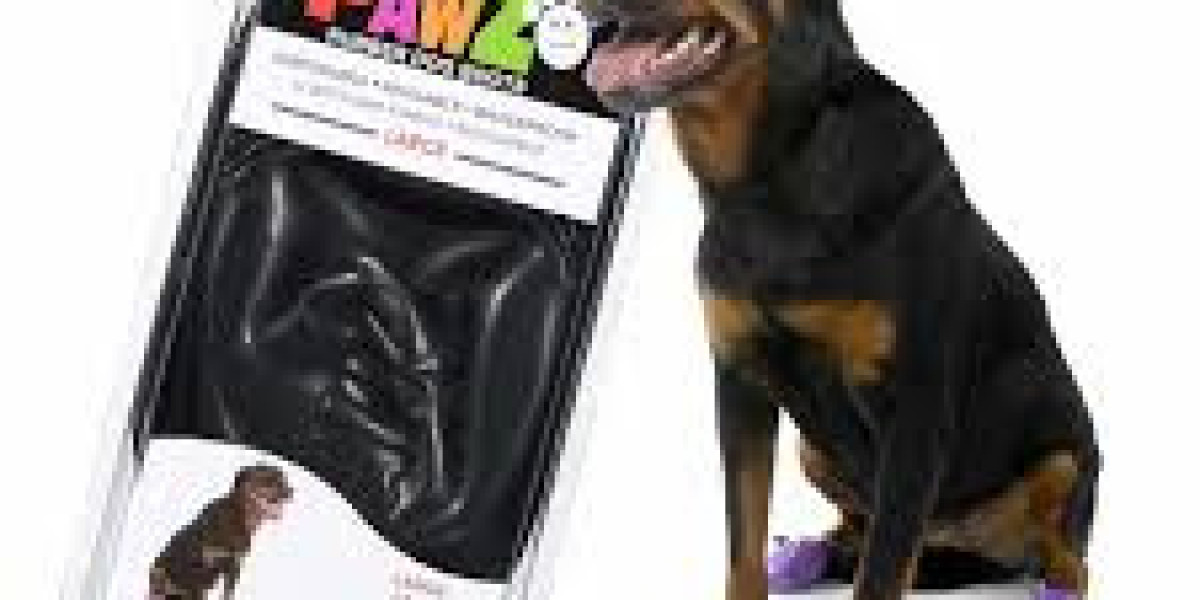 Pawz Waterproof Booties: Protect Your Dog’s Paws Comfortably
