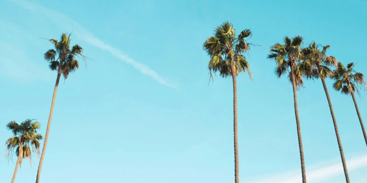 Simple Guide to Choosing the Best Therapy Near Me for Your Needs