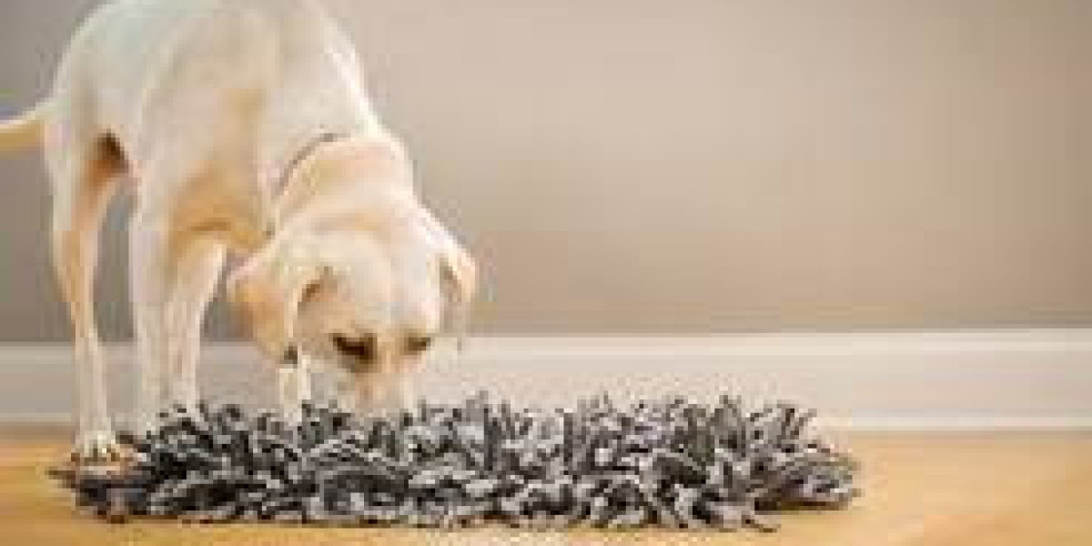Paw 5 Wooly Snuffle Mat – A Complete Guide for Pet Owners
