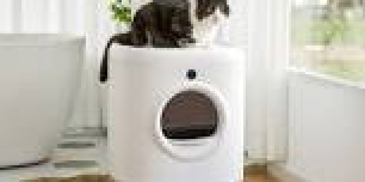 PetKit Pura X Self Cleaning Litter Box – Everything You Should Know