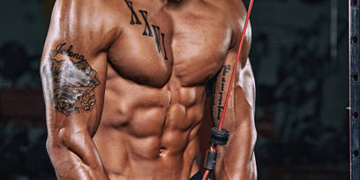 Stronger Every Rep: Best Creatine Supplements Reviewed