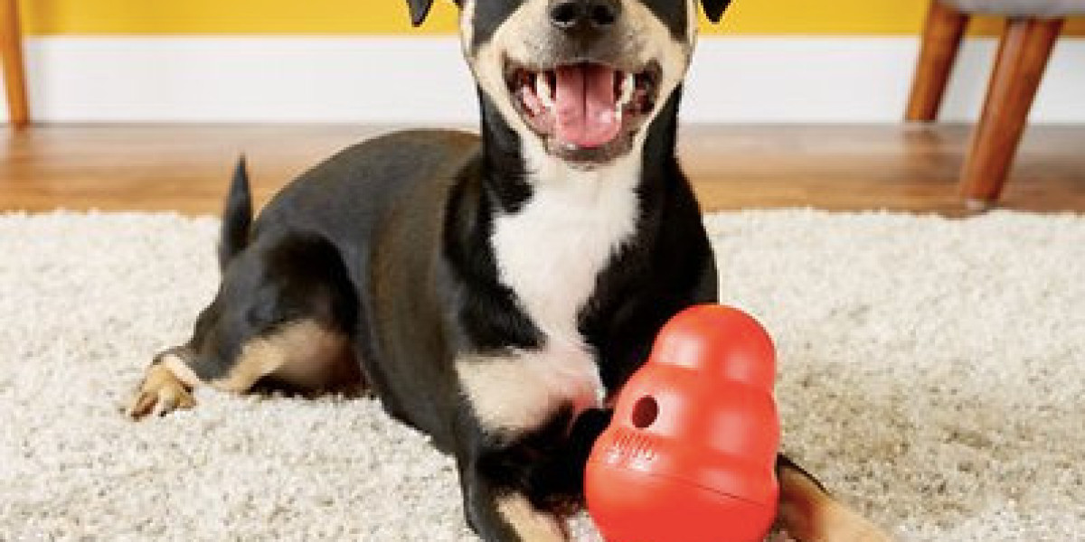 KONG Wobbler – The Fun and Healthy Treat Toy for Dogs