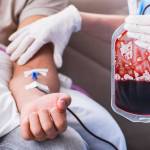 Blood Balance Plus New Zealand