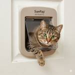 SureFlap Microchip Cat Flap