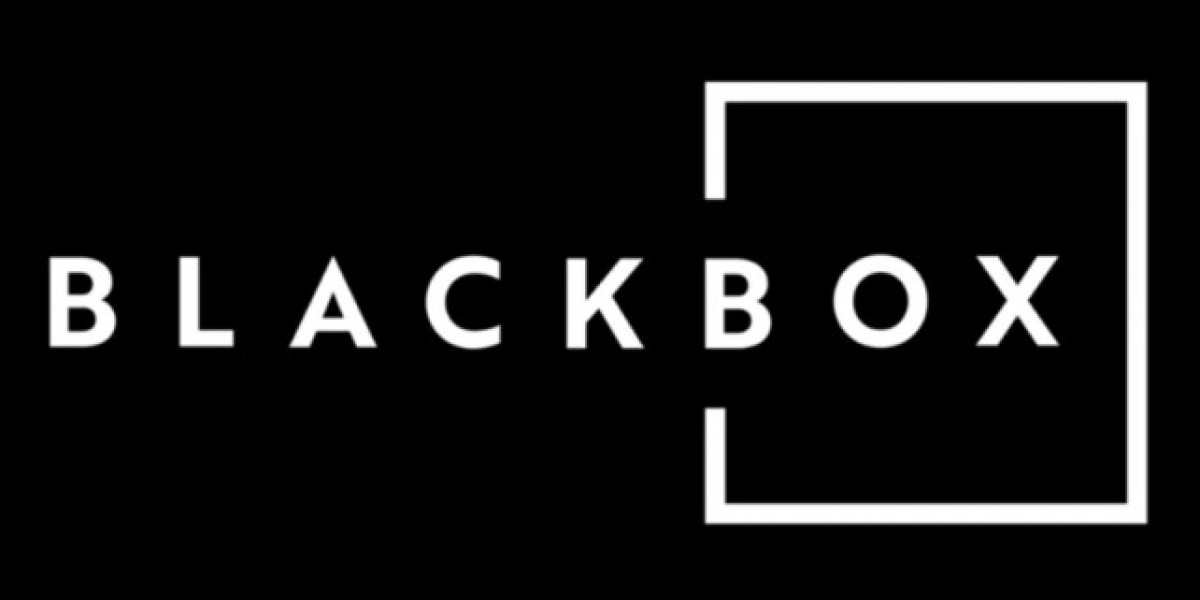 Think You Understand AI? Here’s How to Use Black Box AI the Right Way