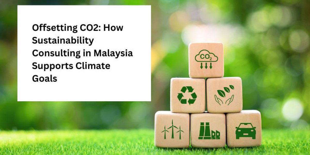 Offsetting CO2: How Sustainability Consulting in Malaysia Supports Climate Goals