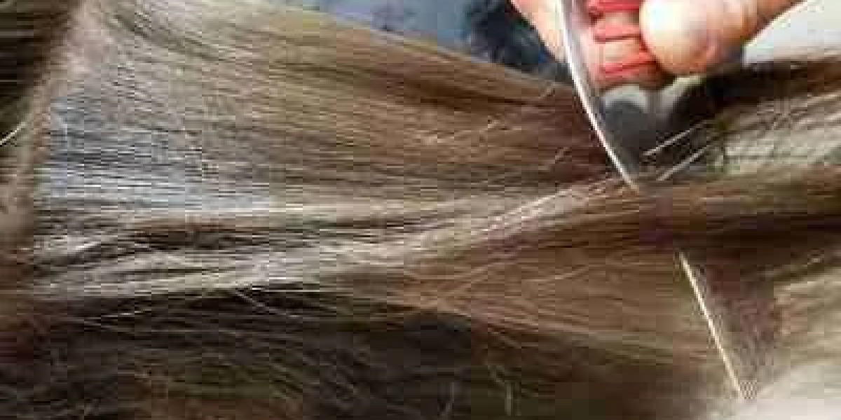 Head Lice Treatment That Actually Works: Expert Tips & Proven Solutions