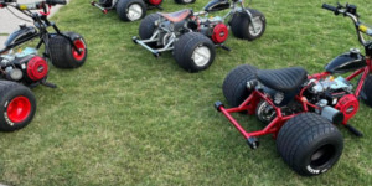 Maxi Trike Accessories and Batteries for Tao Tao 110