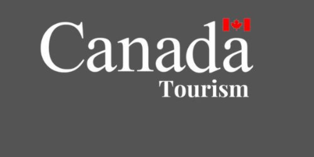 The Lost PR Card Nightmare: Your Step-by-Step Guide to the Permanent Resident Travel Document (PRTD) Application