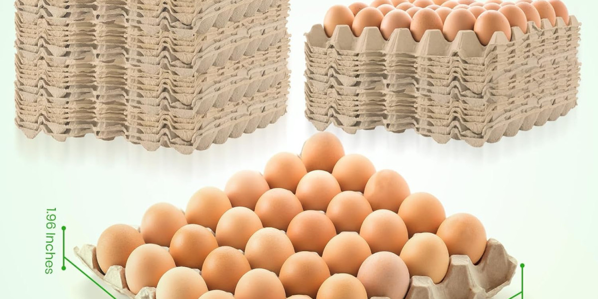 Egg Cartons: Everything You Need to Know About Their Use, Types, and Importance