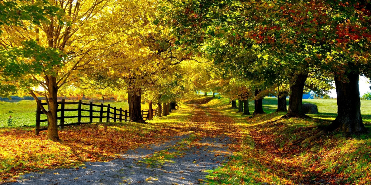 Strategic Planning in an Unpredictable World