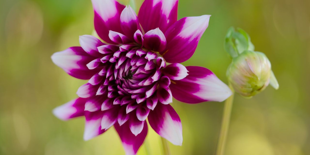 Blockchain e sicurezza: il futuro del gioco online su Web3