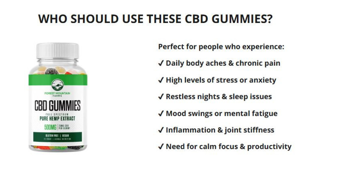 Forest Mountain CBD 500mg - Your Journey to Pain Relief Starts Here News