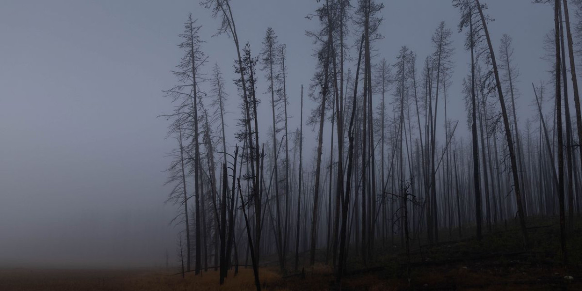 Gaming Tokens and NFTs: The Convergence of Play and Investment