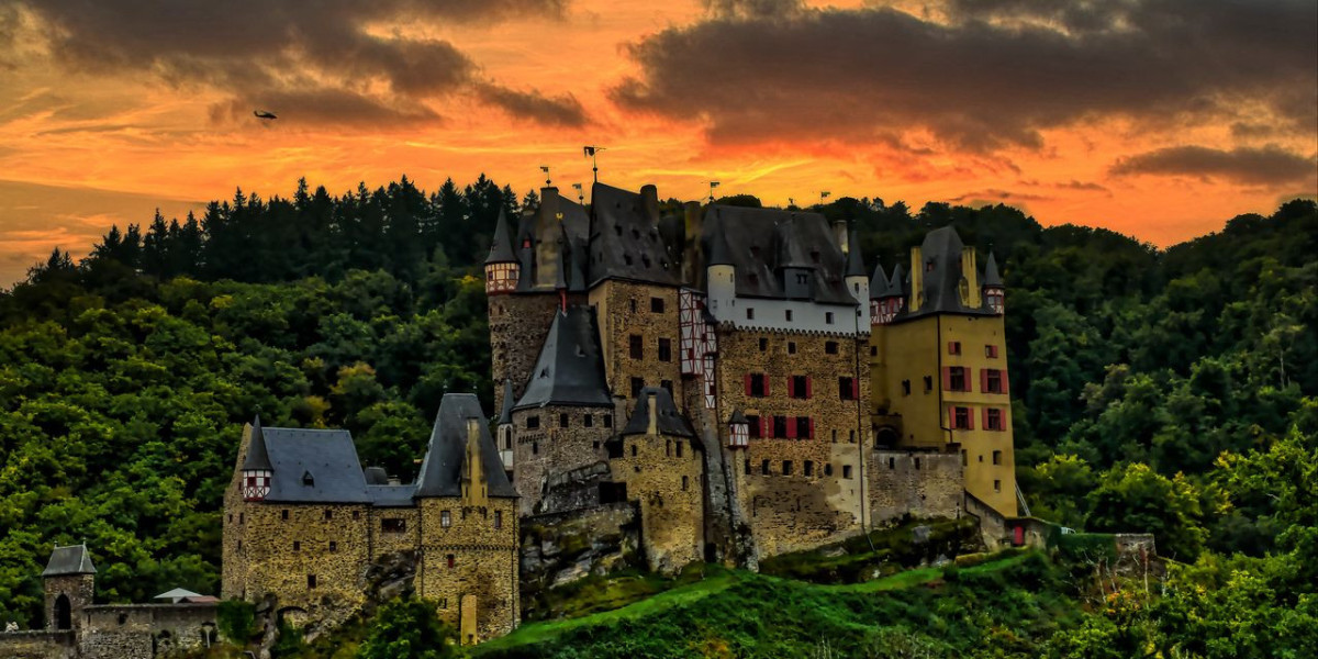 Predicting the Unpredictable: How AI Understands Human Behavior