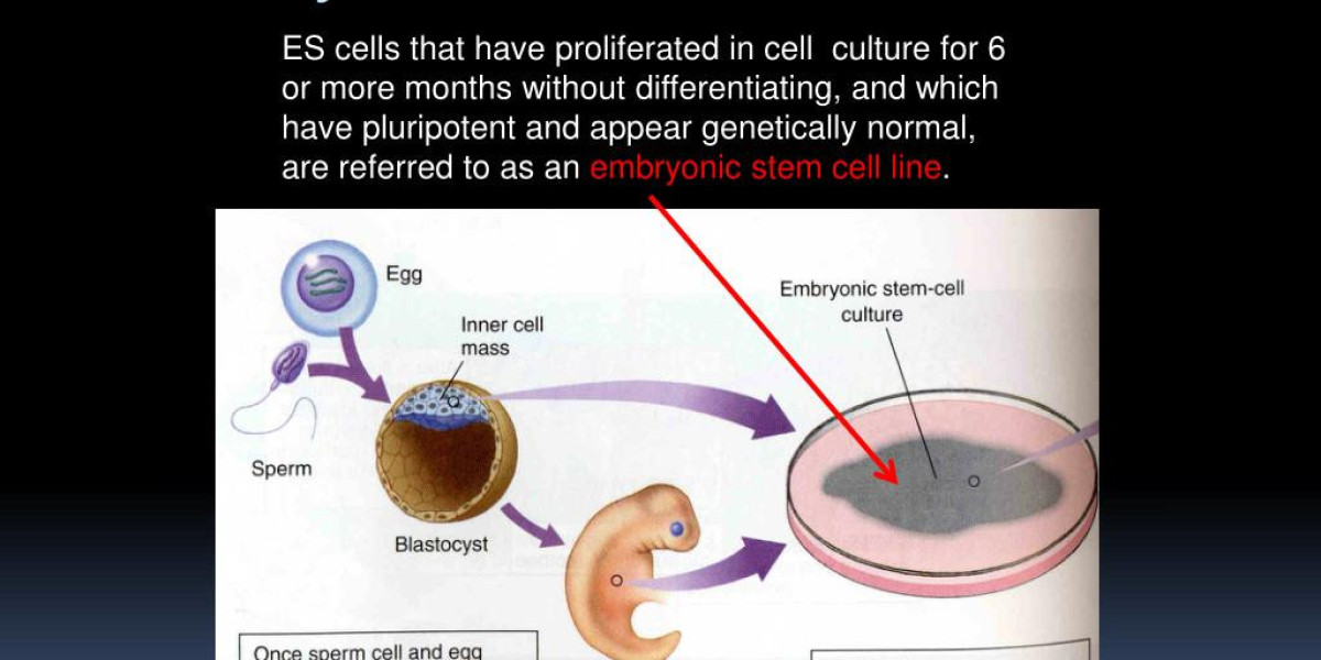 Therapeutic Pipeline in the Human Embryonic Stem Cell Market