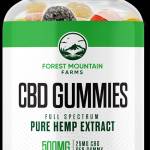 ForestMountain10 ForestMountain10