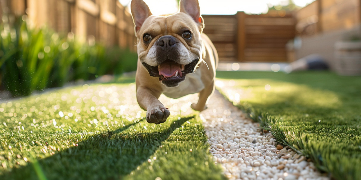 Professional Dog Poop Yard Cleaning Service | Reliable Yard Cleaning Services in McKinney